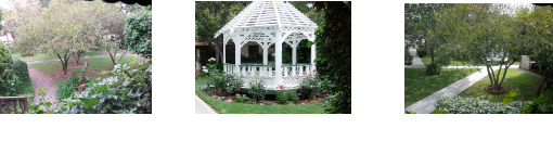 Gazeebo Garden picture